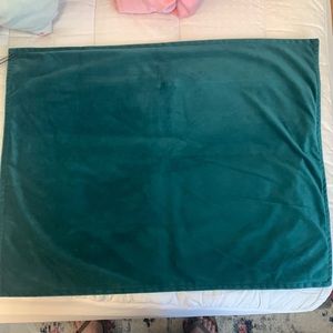 Set 2 Velvet Pillowcase Sham TEAL